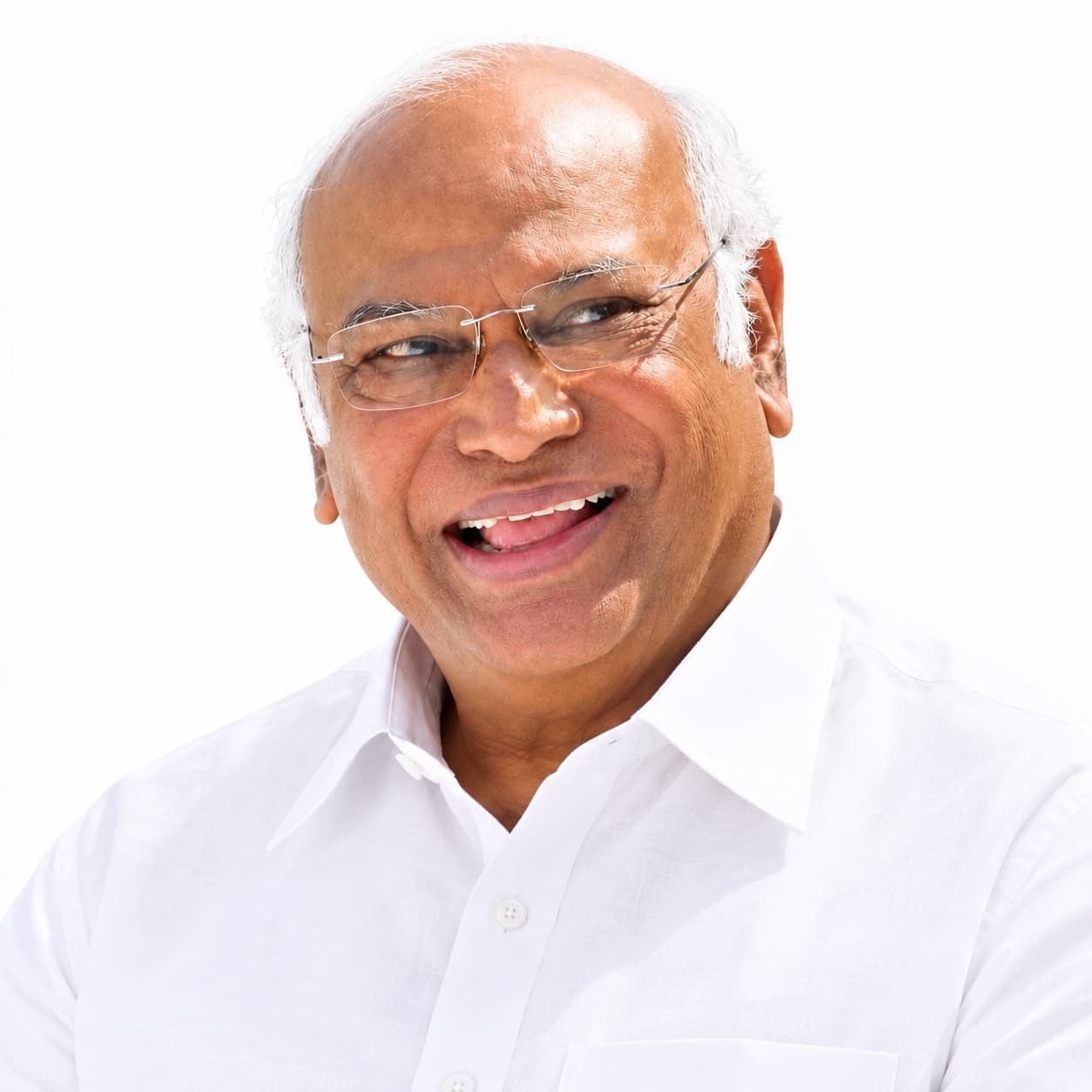 ಮಲ್ಲಿಕಾರ್ಜುನ ಖರ್ಗೆ